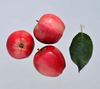 Rød Ananas æbler